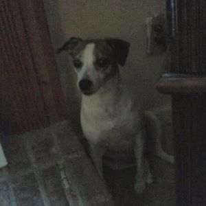 Meet your Posher, Johnathan